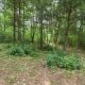 On Oak Ridge Rd, , Harshaw,  WI 54529 USA