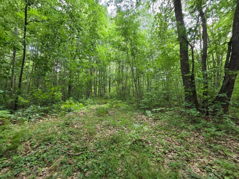 On Oak Ridge Rd, , Harshaw,  WI 54529 USA