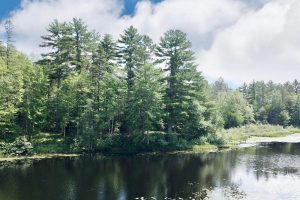 W8172 Somo Dam Dr, , Tomahawk,  WI 54487 USA