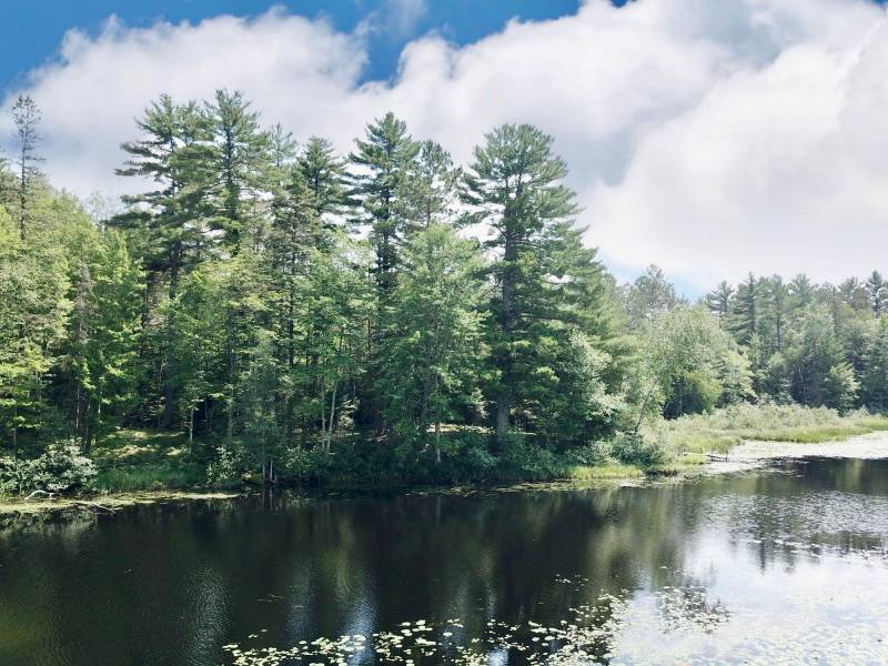W8172 Somo Dam Dr, , Tomahawk,  WI 54487 USA