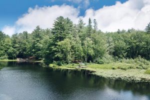 W8172 Somo Dam Dr, , Tomahawk,  WI 54487 USA
