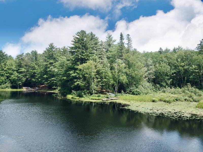 W8172 Somo Dam Dr, , Tomahawk,  WI 54487 USA