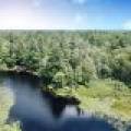 W8172 Somo Dam Dr, , Tomahawk,  WI 54487 USA