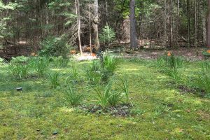 W8172 Somo Dam Dr, , Tomahawk,  WI 54487 USA