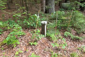 W8172 Somo Dam Dr, , Tomahawk,  WI 54487 USA