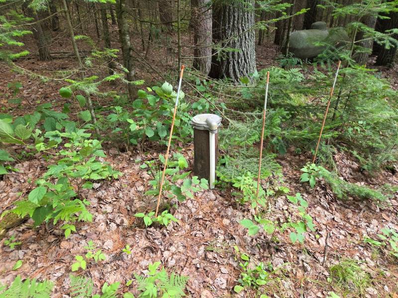 W8172 Somo Dam Dr, , Tomahawk,  WI 54487 USA