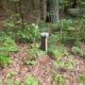 W8172 Somo Dam Dr, , Tomahawk,  WI 54487 USA