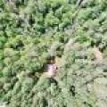W8172 Somo Dam Dr, , Tomahawk,  WI 54487 USA