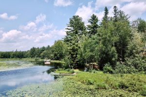 W8172 Somo Dam Dr, , Tomahawk,  WI 54487 USA
