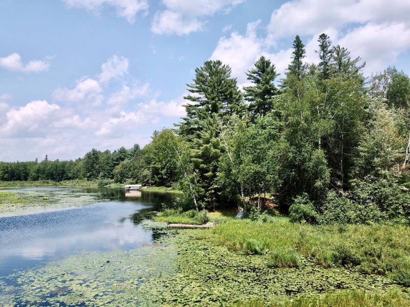 W8172 Somo Dam Dr, , Tomahawk,  WI 54487 USA