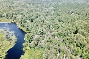 W8172 Somo Dam Dr, , Tomahawk,  WI 54487 USA