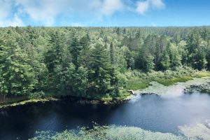 W8172 Somo Dam Dr, , Tomahawk,  WI 54487 USA