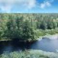 W8172 Somo Dam Dr, , Tomahawk,  WI 54487 USA