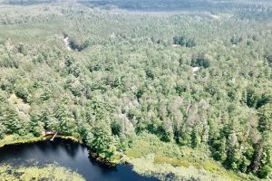 W8172 Somo Dam Dr, , Tomahawk,  WI 54487 USA