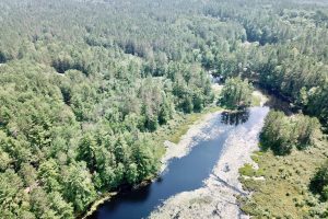 W8172 Somo Dam Dr, , Tomahawk,  WI 54487 USA