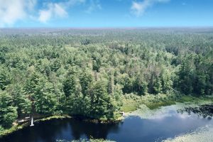 W8172 Somo Dam Dr, , Tomahawk,  WI 54487 USA