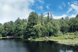 W8172 Somo Dam Dr, , Tomahawk,  WI 54487 USA