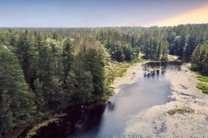 W8172 Somo Dam Dr, , Tomahawk,  WI 54487 USA