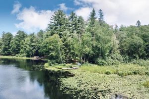 W8172 Somo Dam Dr, , Tomahawk,  WI 54487 USA