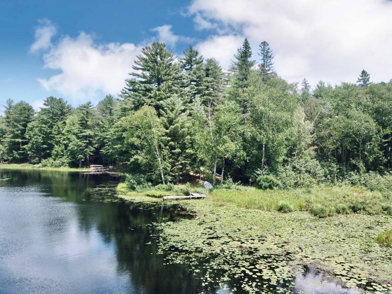 W8172 Somo Dam Dr, , Tomahawk,  WI 54487 USA
