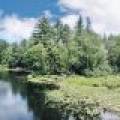 W8172 Somo Dam Dr, , Tomahawk,  WI 54487 USA