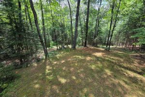 W8172 Somo Dam Dr, , Tomahawk,  WI 54487 USA