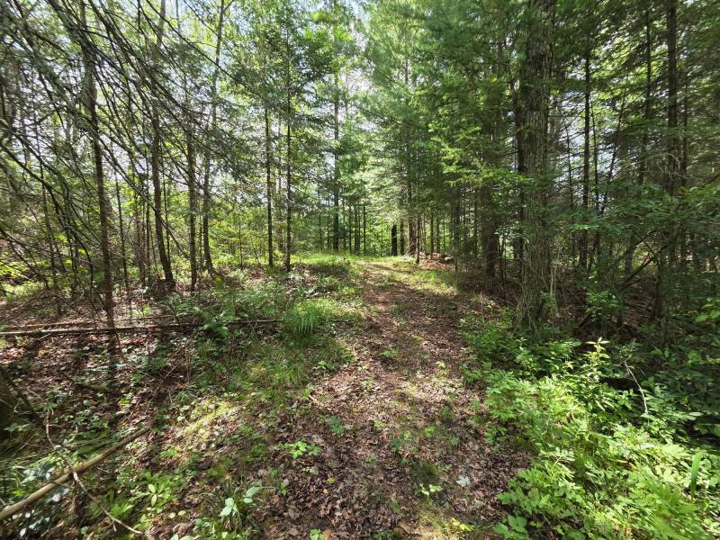 W8172 Somo Dam Dr, , Tomahawk,  WI 54487 USA