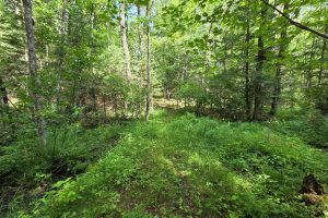 W8172 Somo Dam Dr, , Tomahawk,  WI 54487 USA