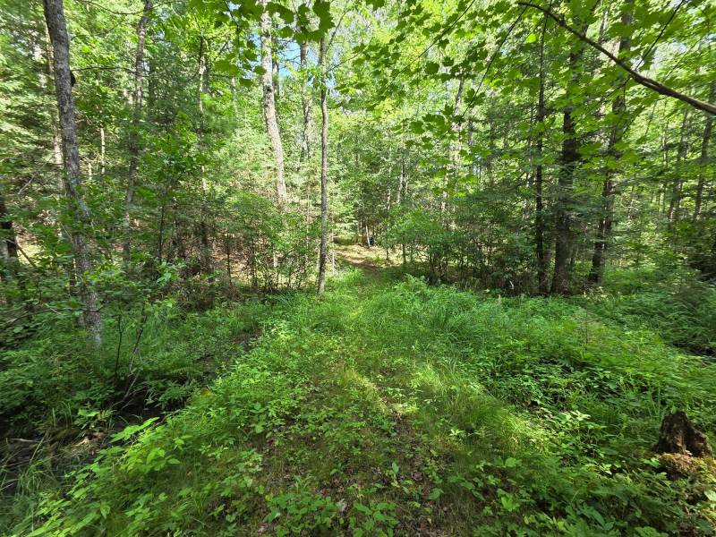 W8172 Somo Dam Dr, , Tomahawk,  WI 54487 USA