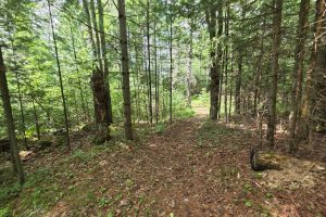 W8172 Somo Dam Dr, , Tomahawk,  WI 54487 USA