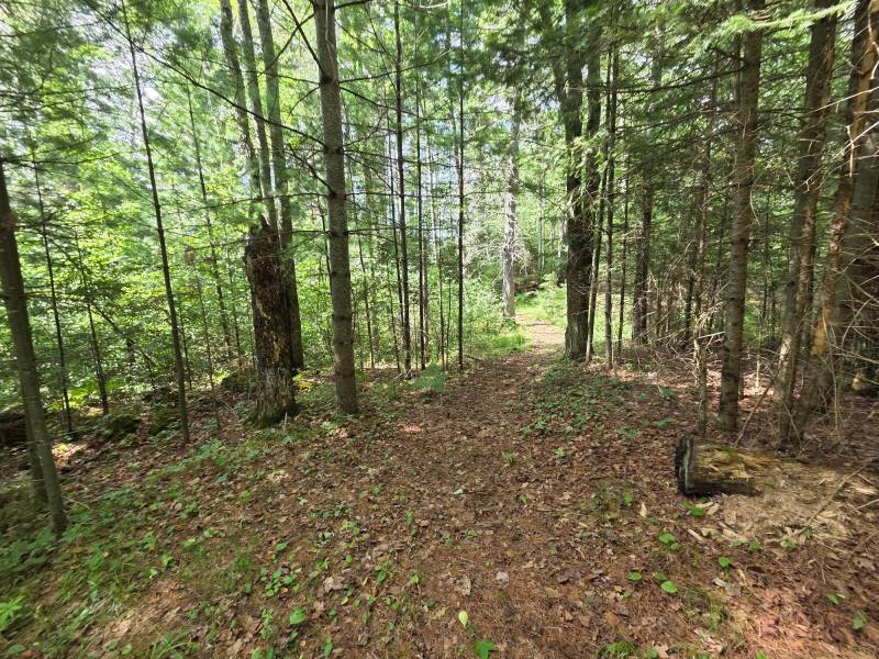 W8172 Somo Dam Dr, , Tomahawk,  WI 54487 USA