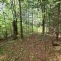 W8172 Somo Dam Dr, , Tomahawk,  WI 54487 USA