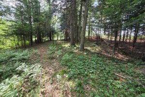 W8172 Somo Dam Dr, , Tomahawk,  WI 54487 USA