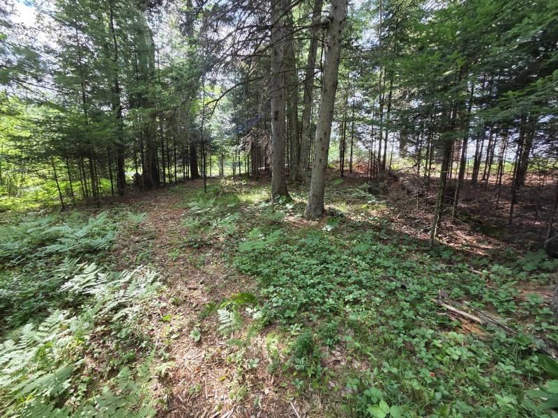 W8172 Somo Dam Dr, , Tomahawk,  WI 54487 USA