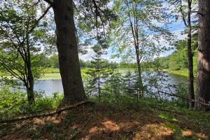 W8172 Somo Dam Dr, , Tomahawk,  WI 54487 USA