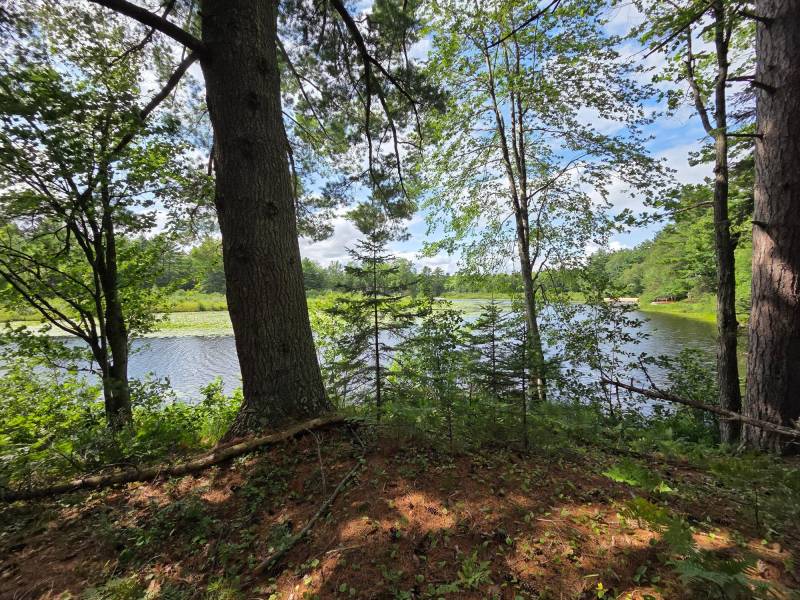 W8172 Somo Dam Dr, , Tomahawk,  WI 54487 USA