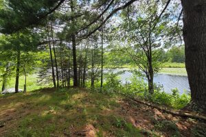 W8172 Somo Dam Dr, , Tomahawk,  WI 54487 USA