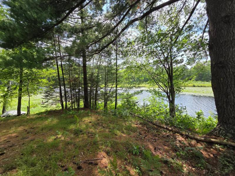 W8172 Somo Dam Dr, , Tomahawk,  WI 54487 USA