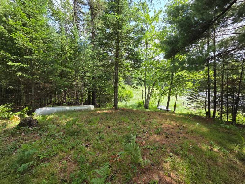 W8172 Somo Dam Dr, , Tomahawk,  WI 54487 USA