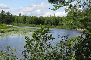 W8172 Somo Dam Dr, , Tomahawk,  WI 54487 USA