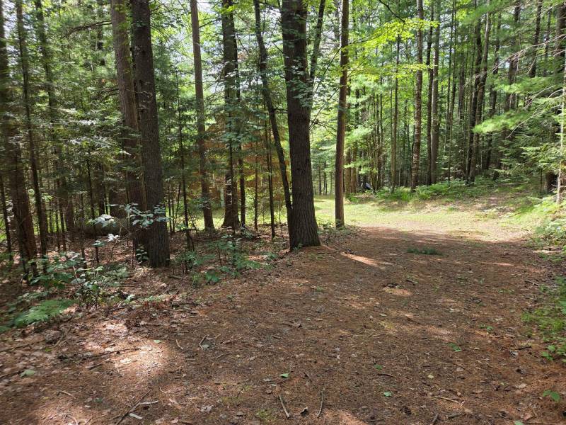 W8172 Somo Dam Dr, , Tomahawk,  WI 54487 USA