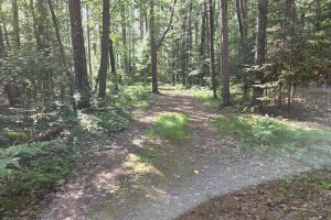 W8172 Somo Dam Dr, , Tomahawk,  WI 54487 USA