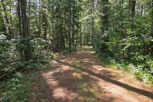 W8172 Somo Dam Dr, , Tomahawk,  WI 54487 USA
