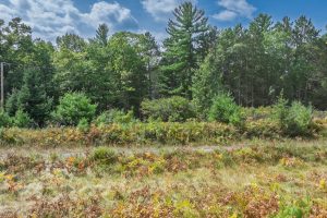 11371 Norman Dr, , Woodruff,  WI 54568 USA