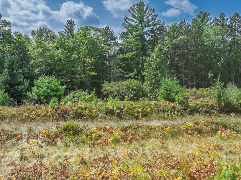 11371 Norman Dr, , Woodruff,  WI 54568 USA