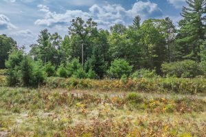 11371 Norman Dr, , Woodruff,  WI 54568 USA