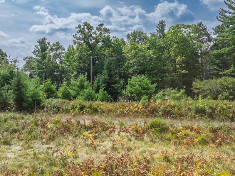 11371 Norman Dr, , Woodruff,  WI 54568 USA