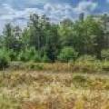 11371 Norman Dr, , Woodruff,  WI 54568 USA