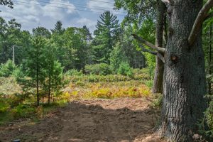11371 Norman Dr, , Woodruff,  WI 54568 USA