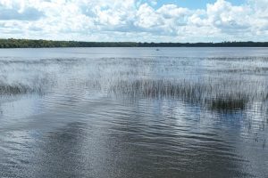 14175 Harris Creek Ln, , Presque Isle,  WI 54557 USA
